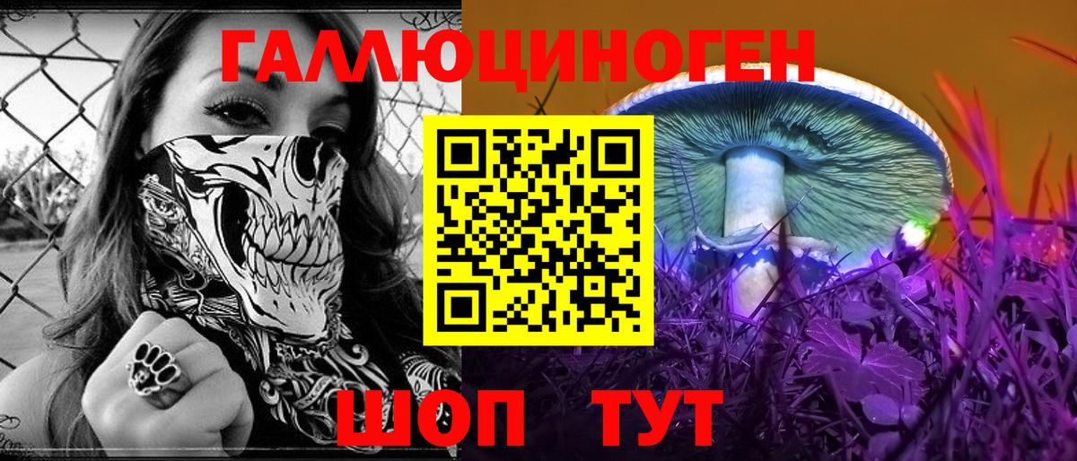 Псилоцибиновые грибы Psilocybine cubensis Балашов
