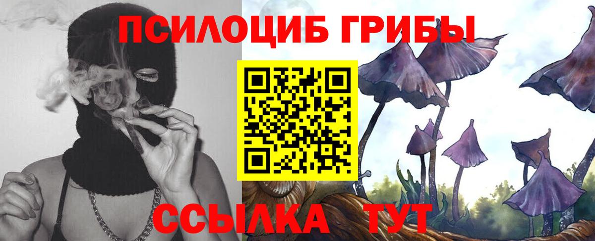 Балашов  Галлюциногенные грибы мицелий  Галлюциногенные грибы Psilocybe  купить   Вход с VPN 